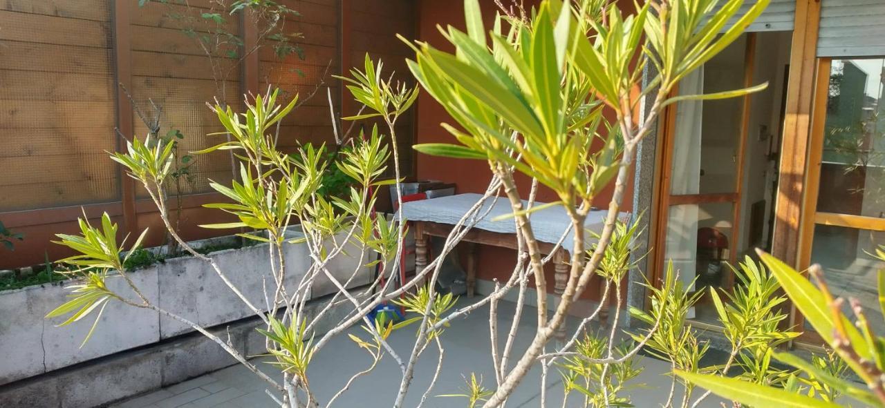 Meraviglioso Super Attico Con Terrazza Milano Exteriör bild