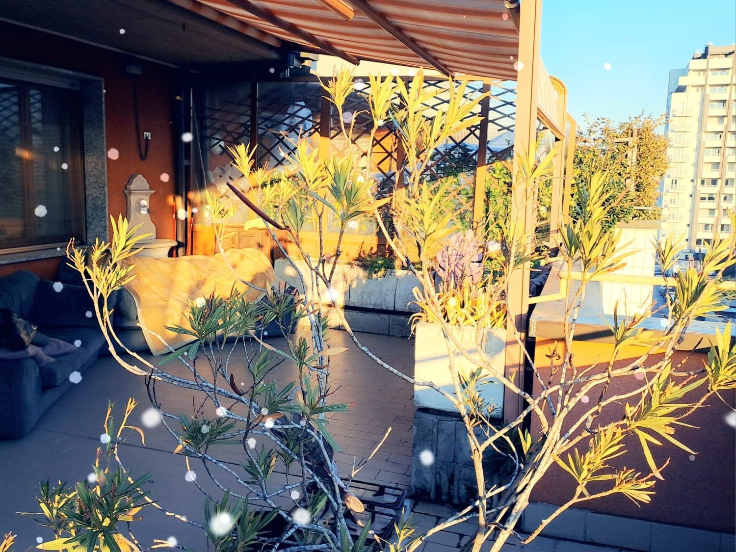 Meraviglioso Super Attico Con Terrazza Milano Exteriör bild